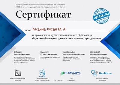 Диплом 2024