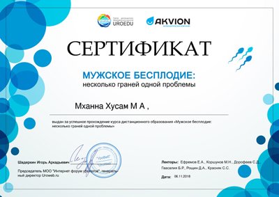 Диплом 2024