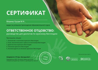 Диплом 2024